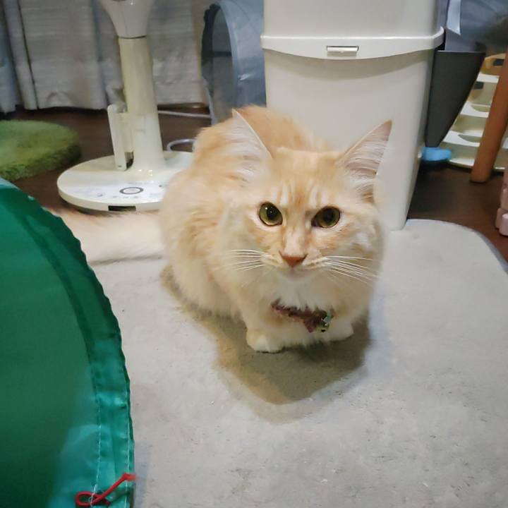 954134eb f0c4 4421 a40a 34f823ab89c5 1700833235428