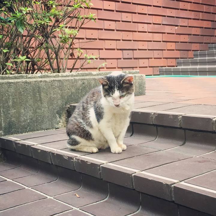 954152d2 f989 4e53 a83b 9cfc76892969 1597466807762