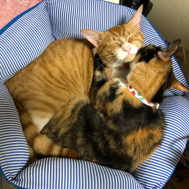 95415b4c 7a2c 4319 90bb de00113cb085 1564056541725