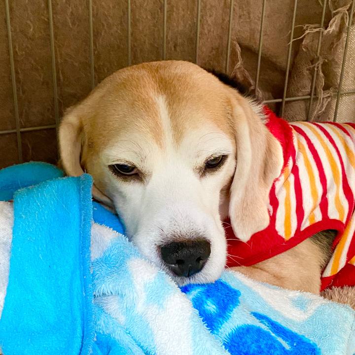 95417fc0 5780 47ac 8eec 3779d18161b3 1582092313801