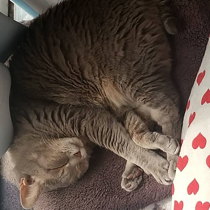 9541a32b 6872 41be bebc 86248aa2d9b3 1651889233931