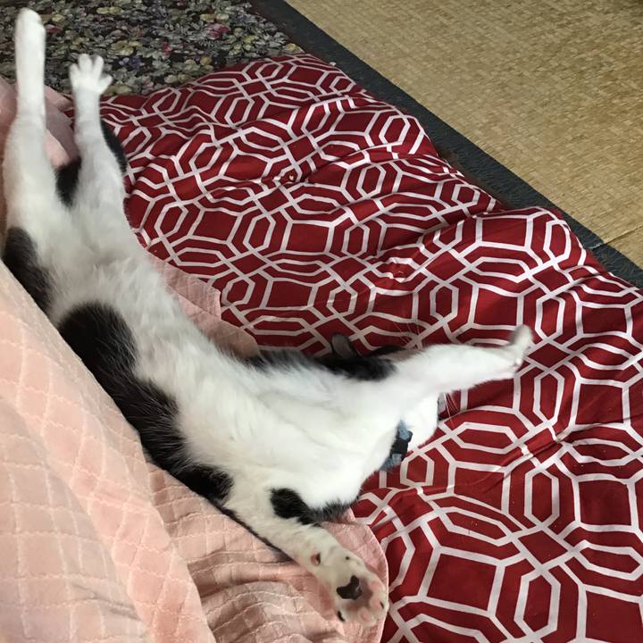 9541a518 929e 47cc abf7 92def6831ec9 1635490230445