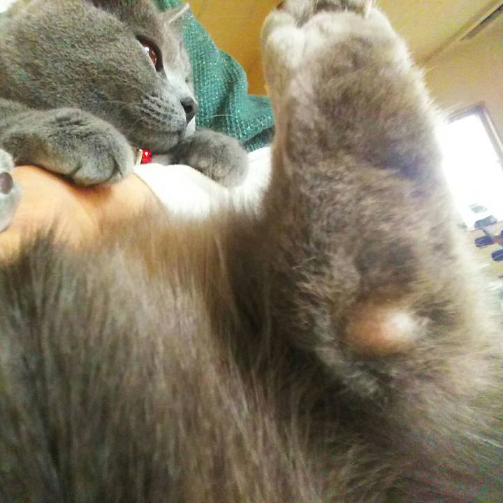 9541b982 5f1c 47cb 9214 6ca57e4abdea 1520226062382