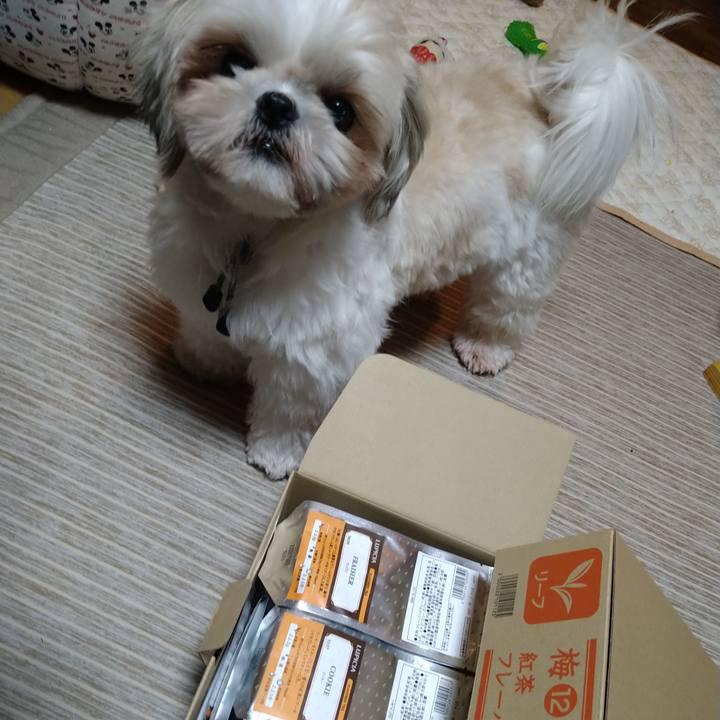 9541f92d 4559 4499 8438 a55038d91597 1610029755868