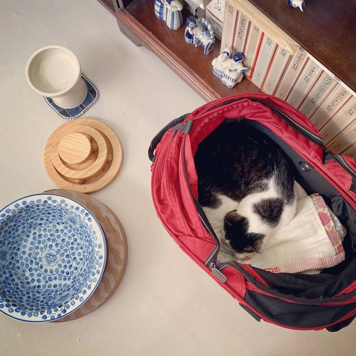 95422165 d4e9 4a12 a051 07a434a76a2b 1624355591772