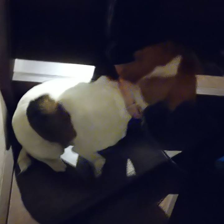 9542402e 959f 4cc5 9e99 0ae3f94d24f9 1588691676988