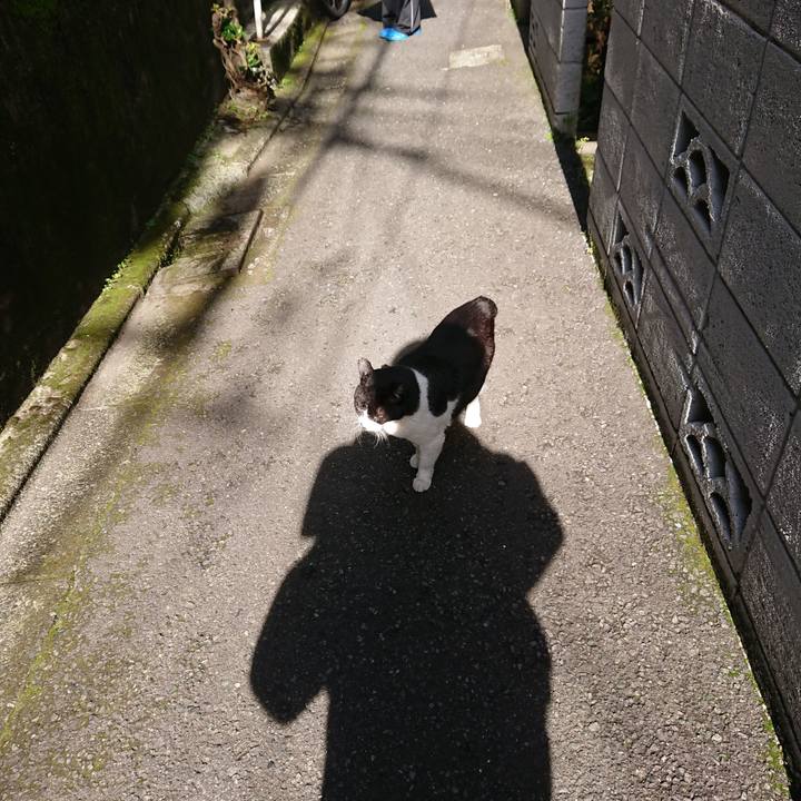 95429b3e a182 4aa9 ad6e 7fbc3ecea513 1587597505038