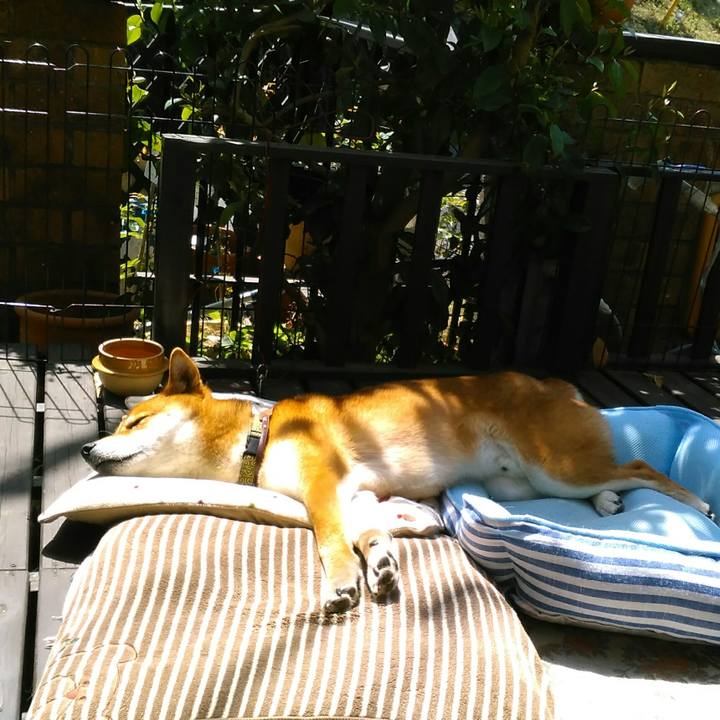 9542bb0c f003 4a80 8ffc 811e54b20837 1523349877119