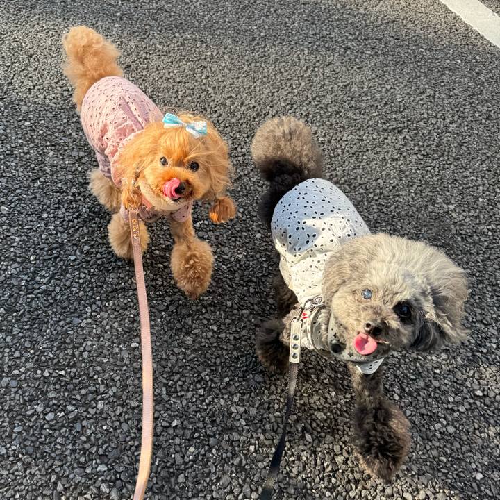 9542bf78 7fce 4d34 825d 94a540d50ed5 1751584156836