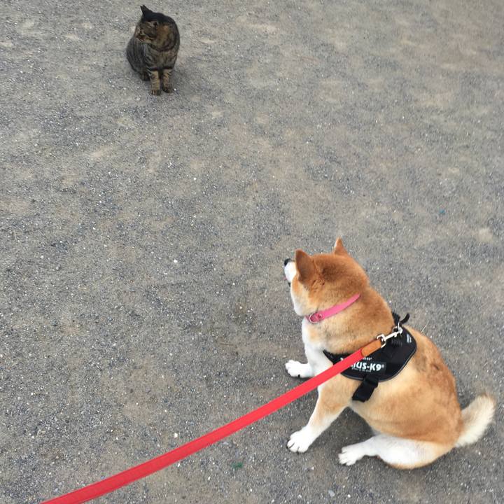 9542f738 901d 4177 b0a6 8feca1ecb5ed 1613308173338