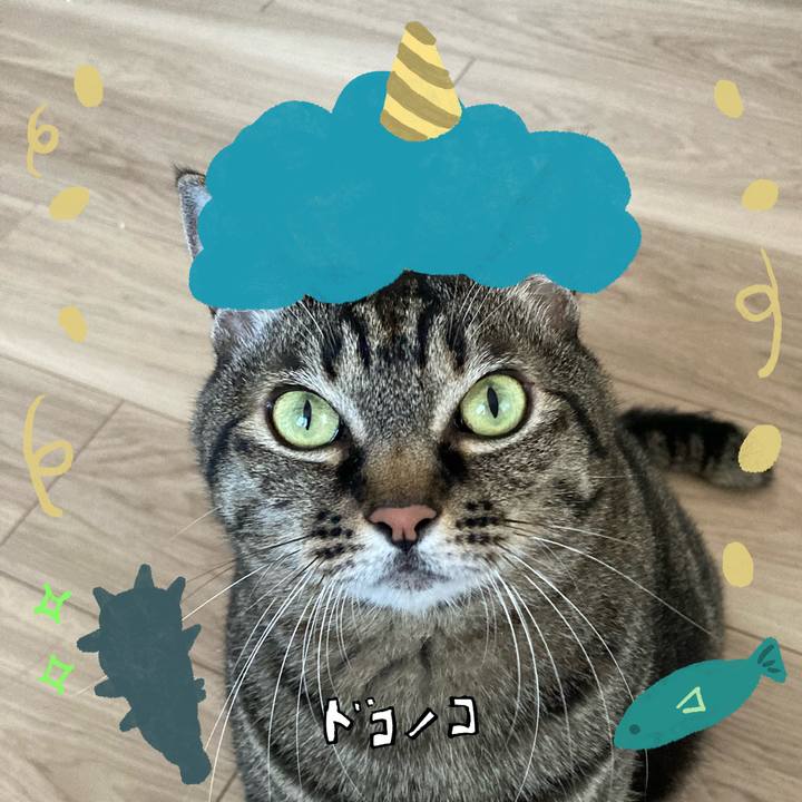 9543dd2e c4a1 4f63 b8c7 380b2822fe3f 1706764280531