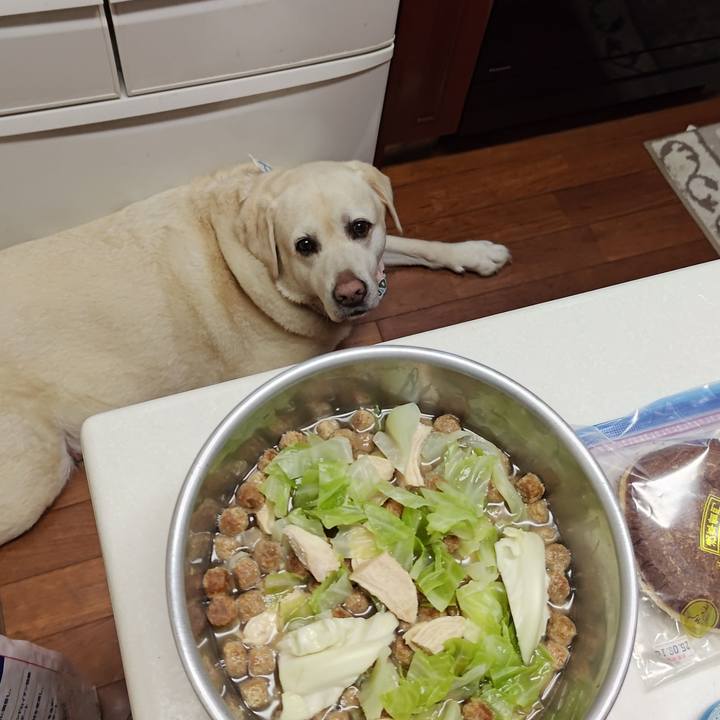 9543e814 432e 4371 b1e3 955545763a83 1749801634220