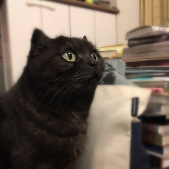 954415da 1cea 4a52 9e3f 091c6e57b810 1519052678573