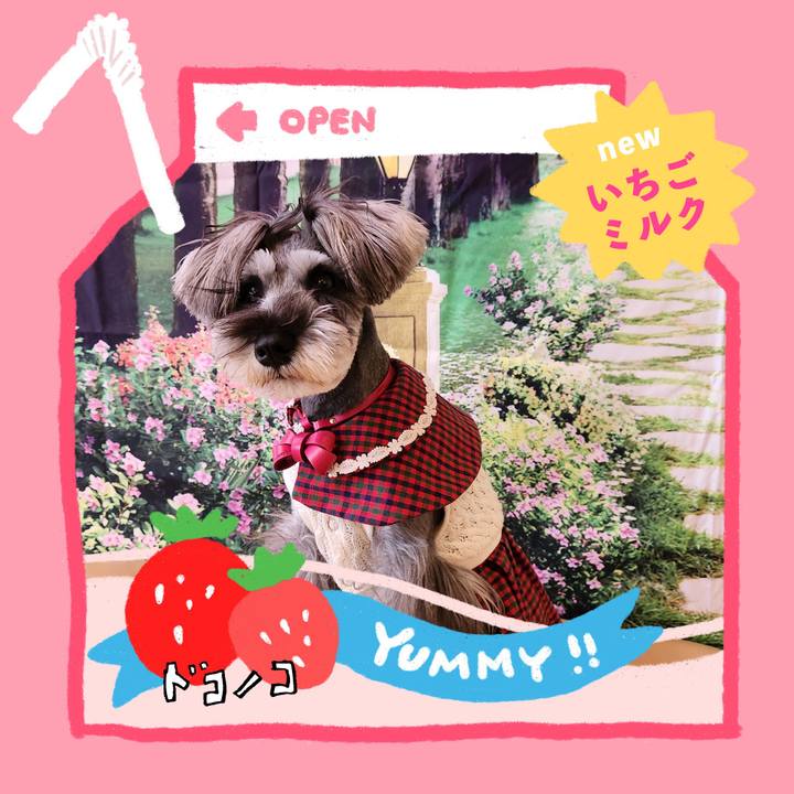 954487c4 f5a3 4ff0 9711 230e53b401b1 1711023462338