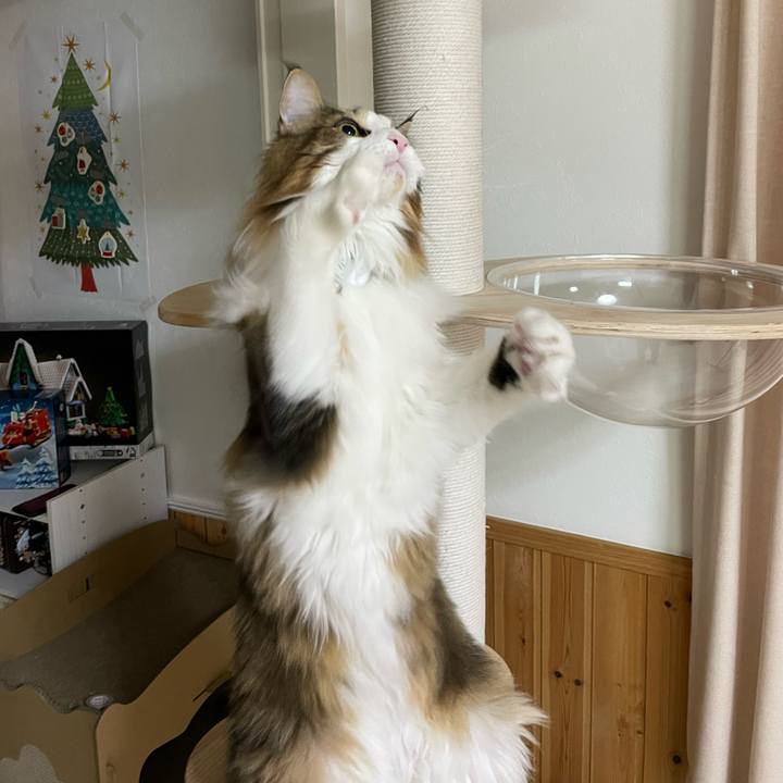 9544d141 8120 455d b754 c09835f5c977 1669583918336