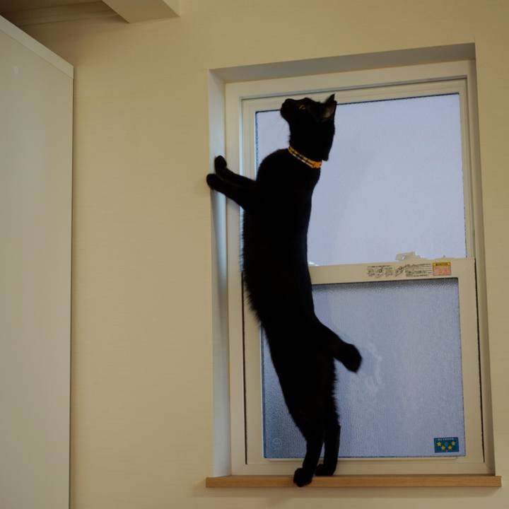 9544ee16 cd60 4d9e a2a0 feb453ce6614 1548978830480