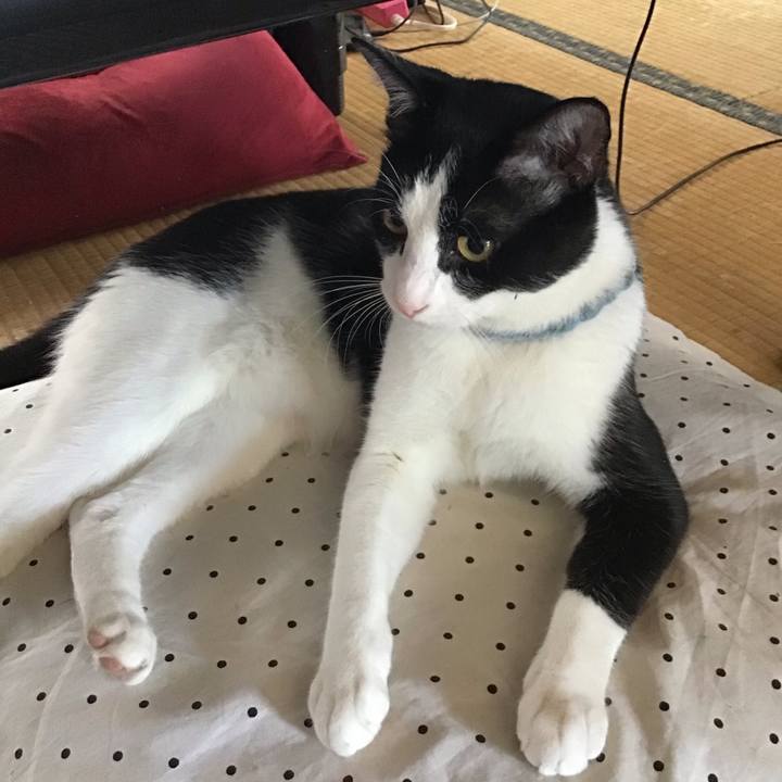 9544f920 f97b 4bf2 9962 bca89142e7c6 1661572881739