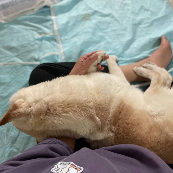 954542eb 4e01 458a b76d 093c62776789 1648210305179