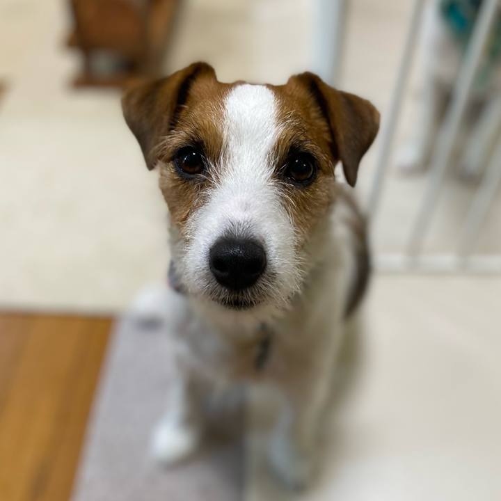 95454735 fa3b 474b 98ef b80c1888f1dd 1756289479392