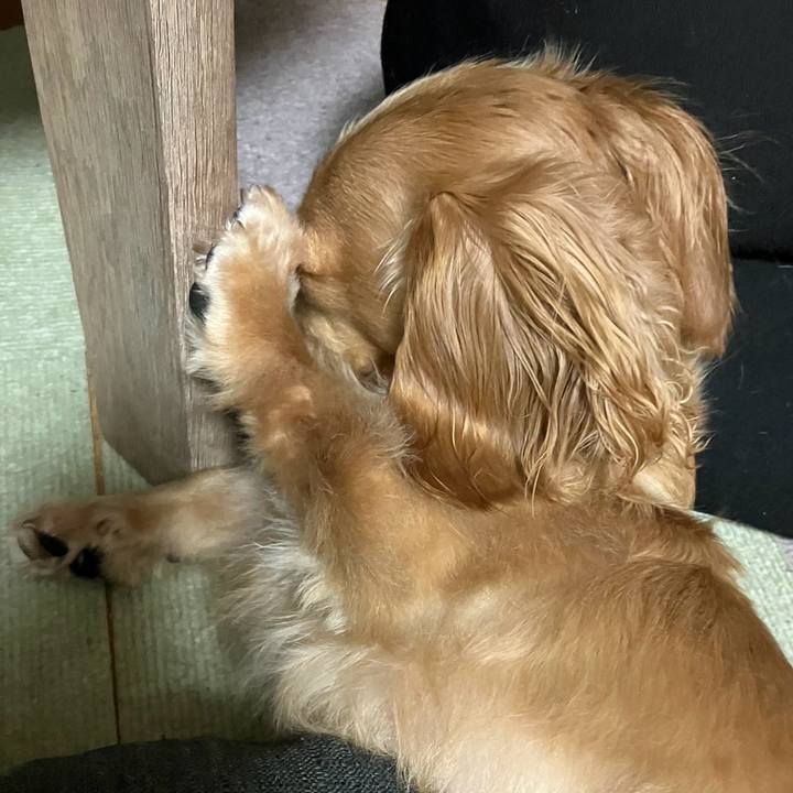 95454d55 ff13 4d5e 93fe 3aae03eee036 1697368976532