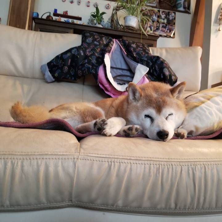 95457092 057f 4248 b386 d616c9e57e55 1735619194830