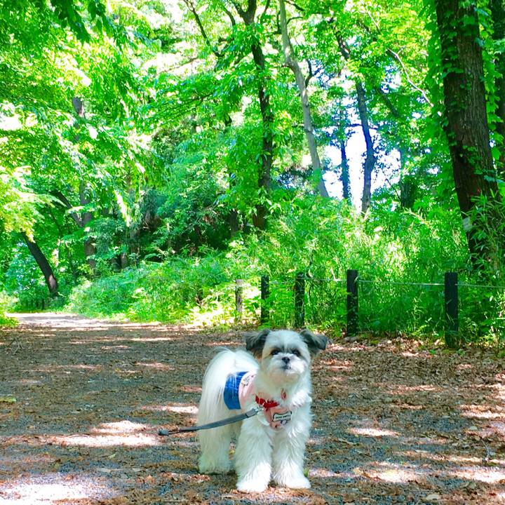 9545b60f 94be 42c2 81b9 e91260e08334 1525510131141