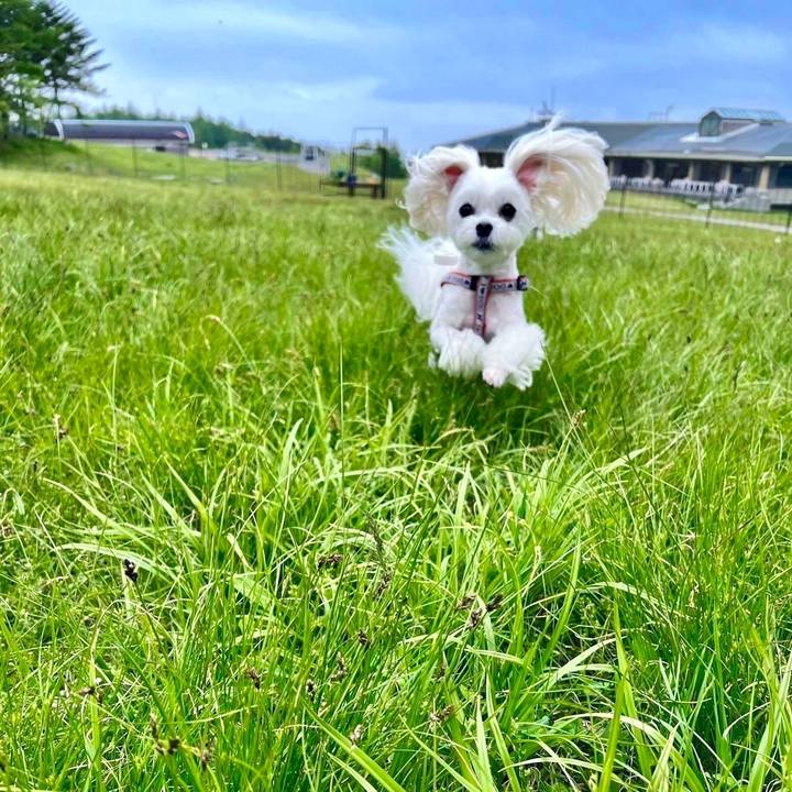 9545ea63 de4e 4ca8 b29e b5279a144cef 1655690610710