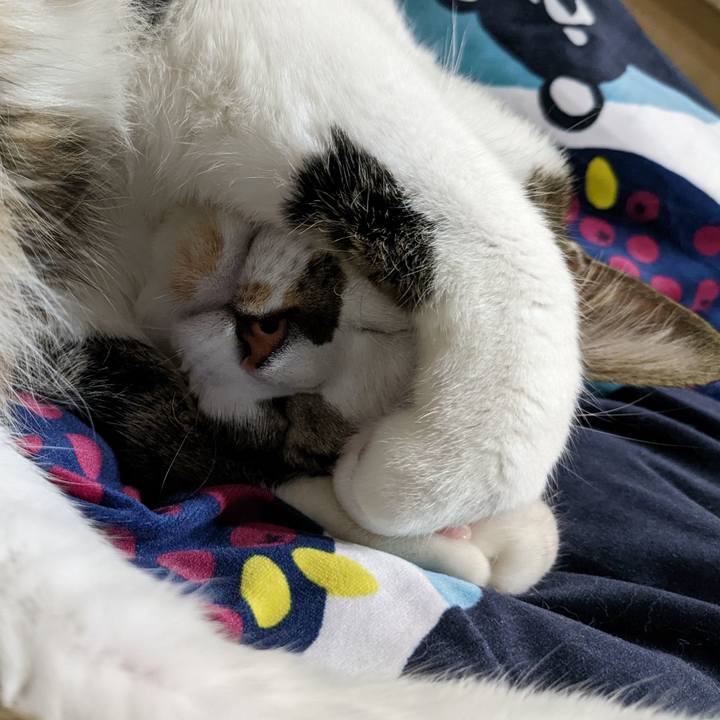 9545f0ee 89ce 4bb4 9a44 e3ce51b07b54 1668317980896