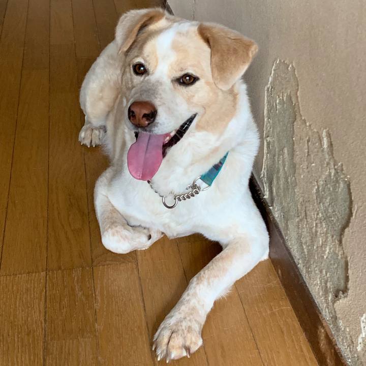 9545f7f1 aa8f 4453 9d52 3bc30fedbe4f 1560828159687