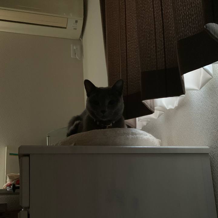 95465470 36fe 4c9e 9725 f59430be7ae9 1668117035543