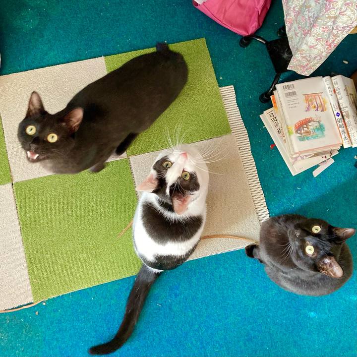 9546759f 5491 4044 a76a d65462c29d8b 1670479756068