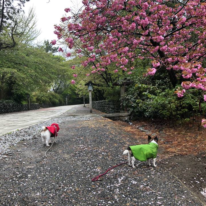 9546bd39 1156 4994 b9ae 454cef08f8a2 1556150187863