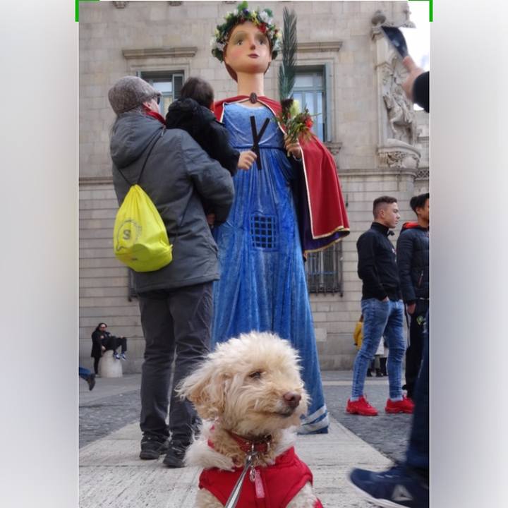 9546e23b 73d5 4616 84ce 1e9863f145c8 1518389261974