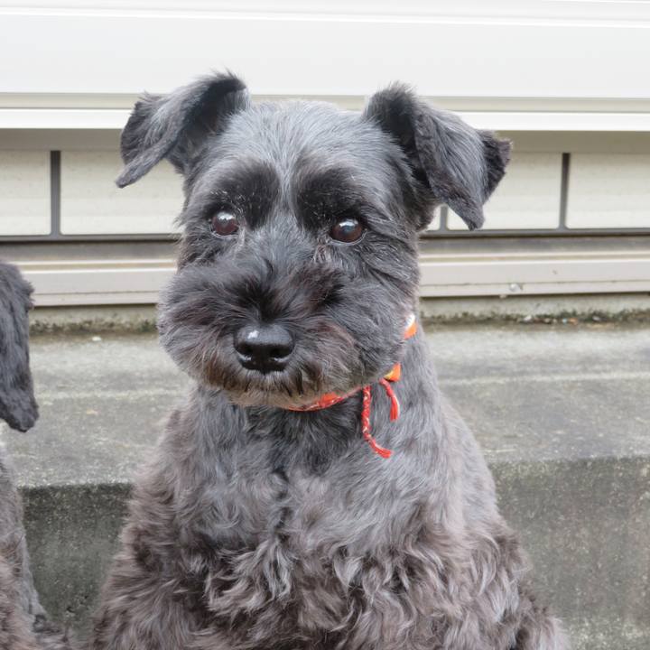 95470210 66de 4a65 b09b 40c1812bf955 1602396773961