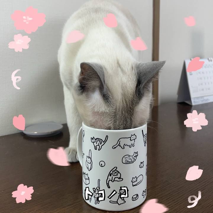 954725bd 3684 4074 9618 8c9c908f83f0 1744518280406