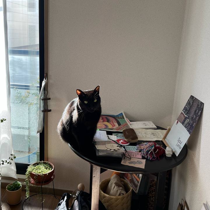 95473525 cbb2 4bbf 92d6 ff8e0ead7b83 1736726141950