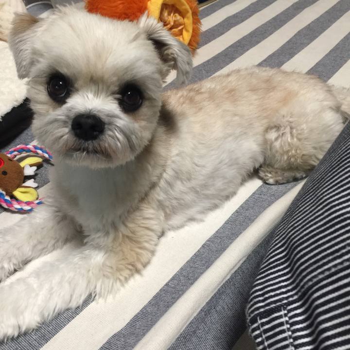 954751e0 b58f 41f6 ad30 f8aa93e833d7 1524570727662