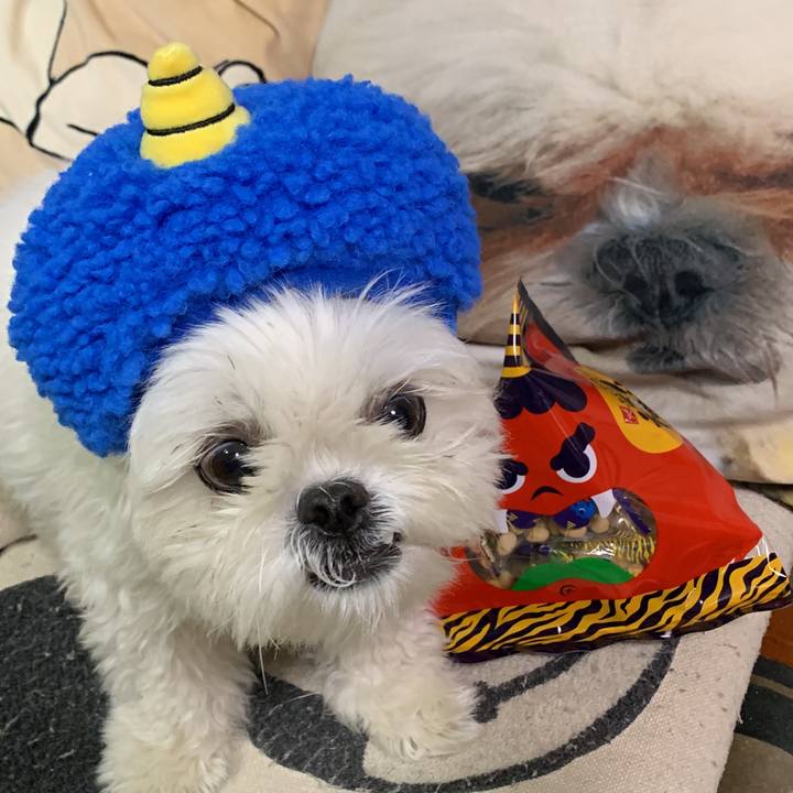 95476551 9775 44b2 85a7 c09f0a158101 1643886752818