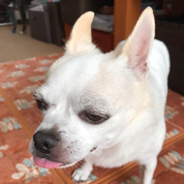 95476aac 3186 4082 8df1 d06c8d779b3c 1539257850131