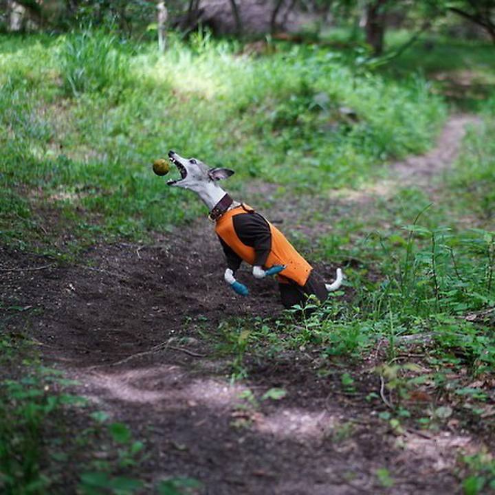 95479d61 2925 4735 856d 8a2397643dbc 1530185018598