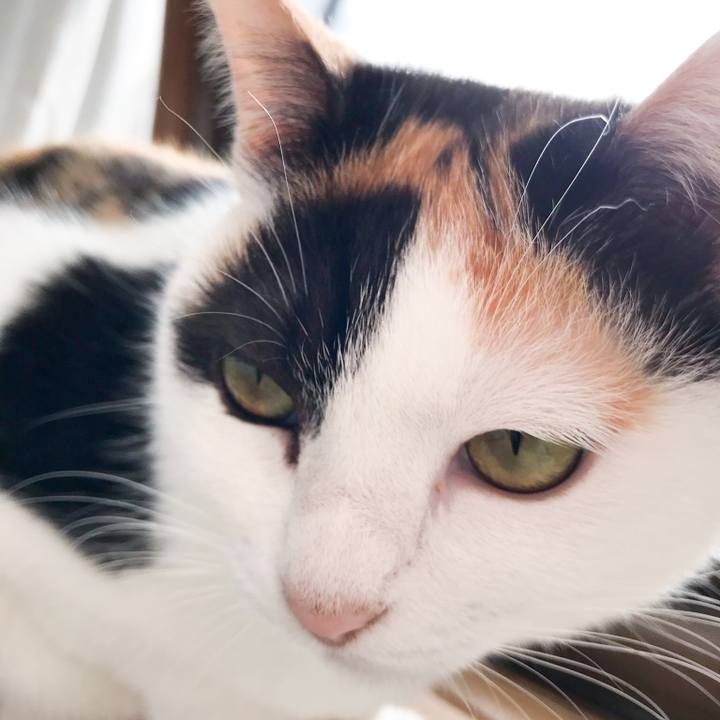 9547c569 e023 4951 825c 6f7c41194f50 1521162877452