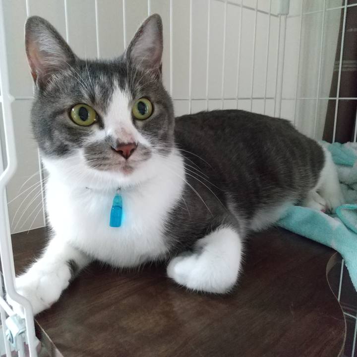 9547f501 f90f 46c0 8a7b a20c4978c159 1600148933765