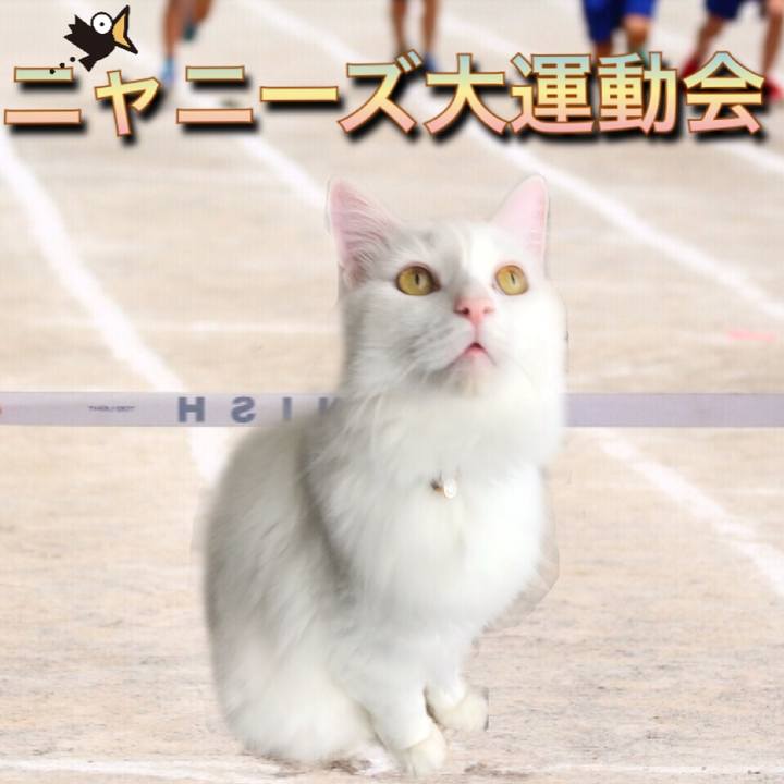 9548308f 3a29 4769 9c36 48c7e1258469 1539430214564