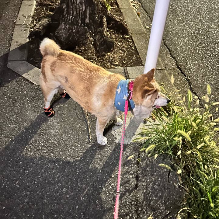 95484b87 4655 4a16 bcf9 3bcf962a62de 1754563432017