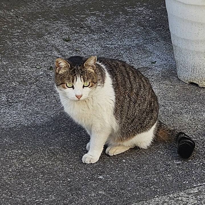 95484d0f 0e77 4e78 88de cc62d5596fe8 1739172111667