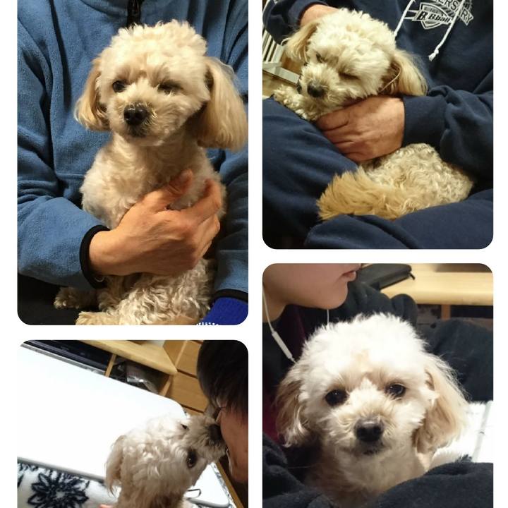 95486fac 8bc6 4f5e aa2e e4328b10674e 1546243514378