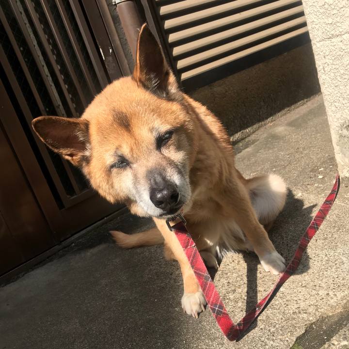 95493887 52f9 41d1 bbed 6ff5c0db0327 1523058922694