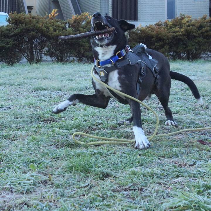 95494ad5 f15c 4037 b6b7 69b4f9c22e0c 1639184245300