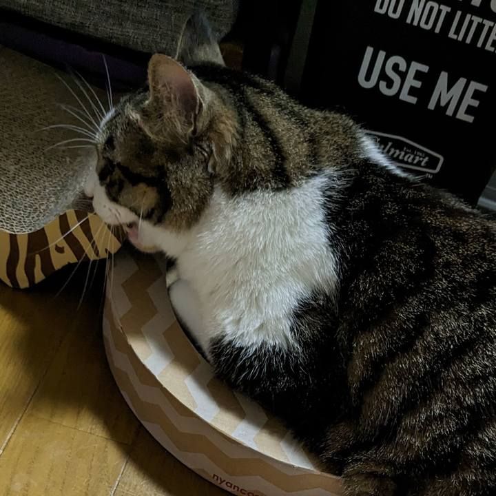 95495627 11b2 48c8 96ca 10d2188888f5 1682209985430