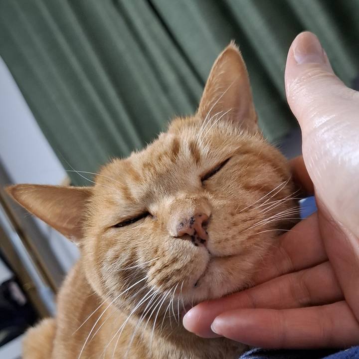 954956fe 679c 41a8 a498 beee84c35799 1737667132337